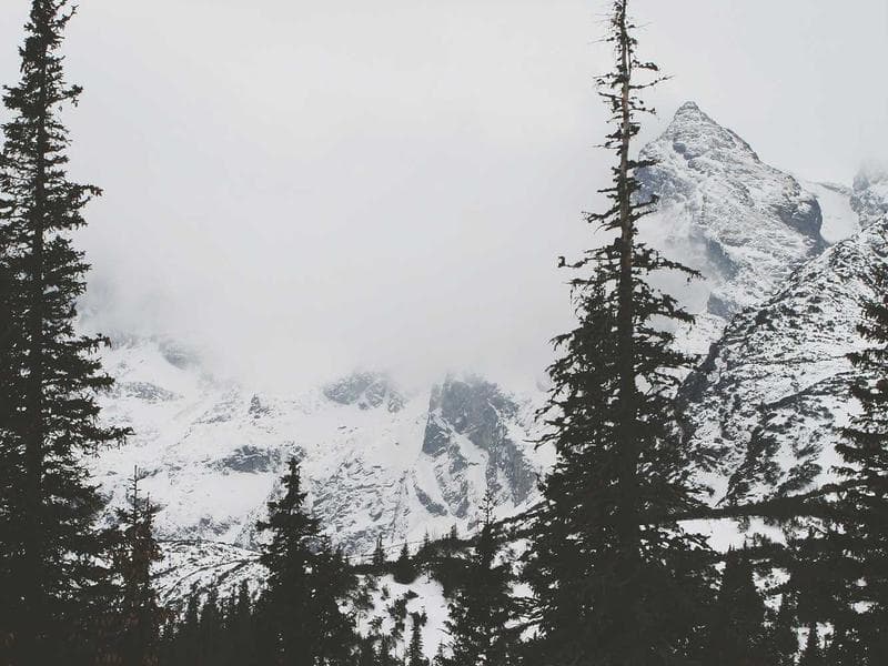 Equestrian event setup